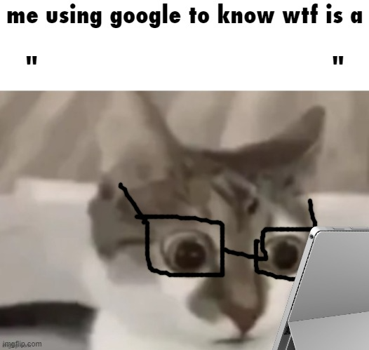 High Quality me using google to know wtf is a X Blank Meme Template
