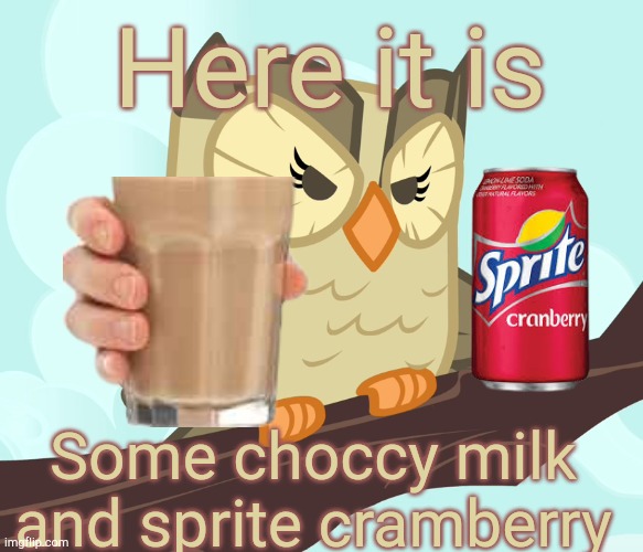 For u | Here it is; Some choccy milk and sprite cramberry | image tagged in scowled owlowiscious mlp | made w/ Imgflip meme maker