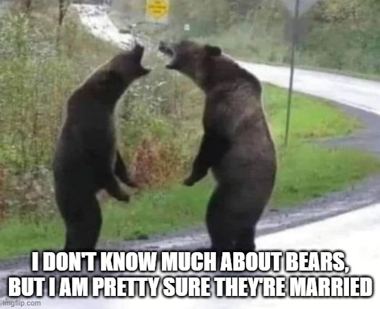 Wedded Bliss Bears | I DON'T KNOW MUCH ABOUT BEARS, BUT I AM PRETTY SURE THEY'RE MARRIED | image tagged in funny,memes | made w/ Imgflip meme maker