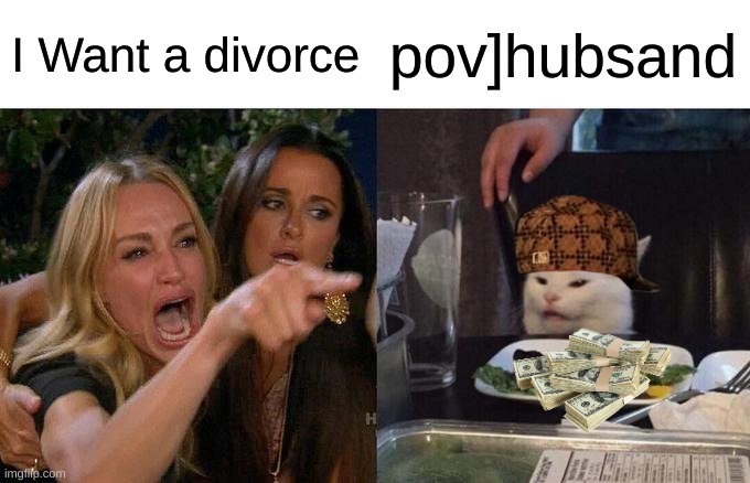 Woman Yelling At Cat | I Want a divorce; pov]hubsand | image tagged in memes,woman yelling at cat | made w/ Imgflip meme maker