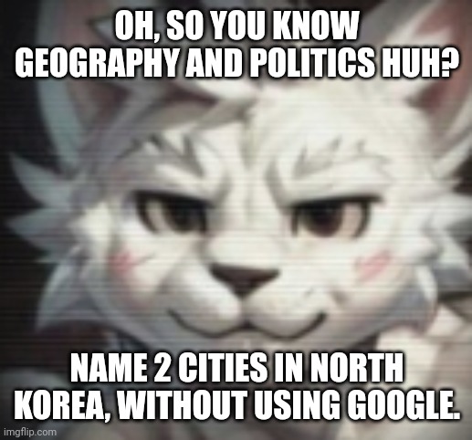 mankisser | OH, SO YOU KNOW GEOGRAPHY AND POLITICS HUH? NAME 2 CITIES IN NORTH KOREA, WITHOUT USING GOOGLE. | image tagged in mankisser | made w/ Imgflip meme maker