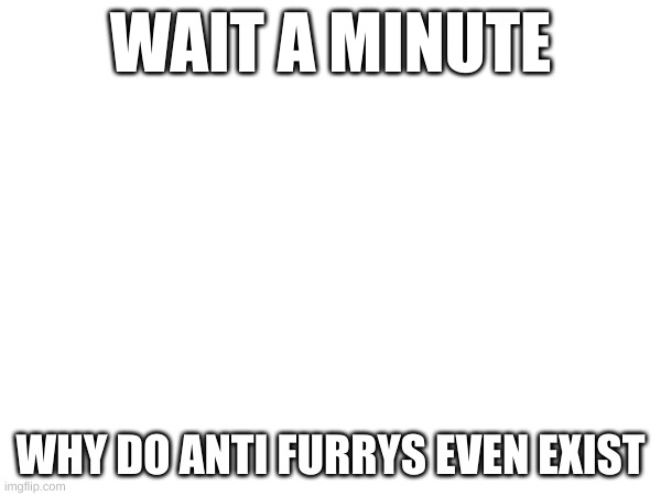 WAIT A MINUTE; WHY DO ANTI FURRYS EVEN EXIST | made w/ Imgflip meme maker