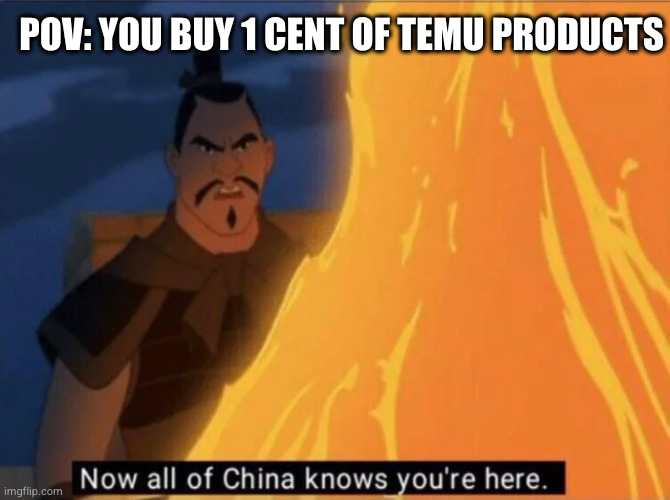 Nobody: Temu | POV: YOU BUY 1 CENT OF TEMU PRODUCTS | image tagged in now all of china knows you're here,privacy,temu,china,surveillance | made w/ Imgflip meme maker