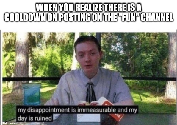 Guess I'll post here now :/ | WHEN YOU REALIZE THERE IS A COOLDOWN ON POSTING ON THE "FUN" CHANNEL | image tagged in my dissapointment is immeasurable and my day is ruined | made w/ Imgflip meme maker