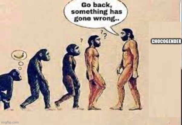 Chocogender | CHOCOGENDER | image tagged in evolution go back something has gone wrong | made w/ Imgflip meme maker