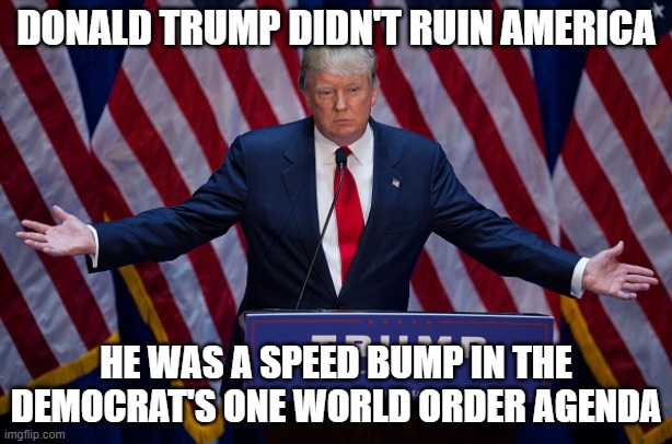 It was supposed to be Barack Obama THEN Hillary Clinton. It didn't go to their plan, so now they're making up for it. | DONALD TRUMP DIDN'T RUIN AMERICA; HE WAS A SPEED BUMP IN THE DEMOCRAT'S ONE WORLD ORDER AGENDA | image tagged in donald trump,barack obama,hillary clinton,joe biden,democrats,one world order | made w/ Imgflip meme maker