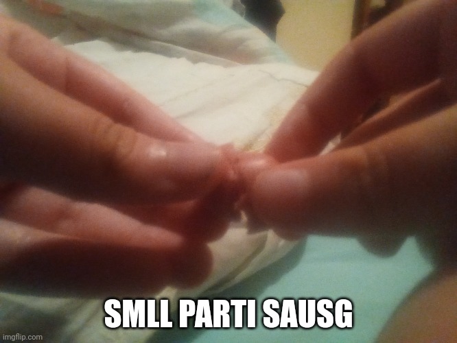 SMLL PARTI SAUSG | made w/ Imgflip meme maker