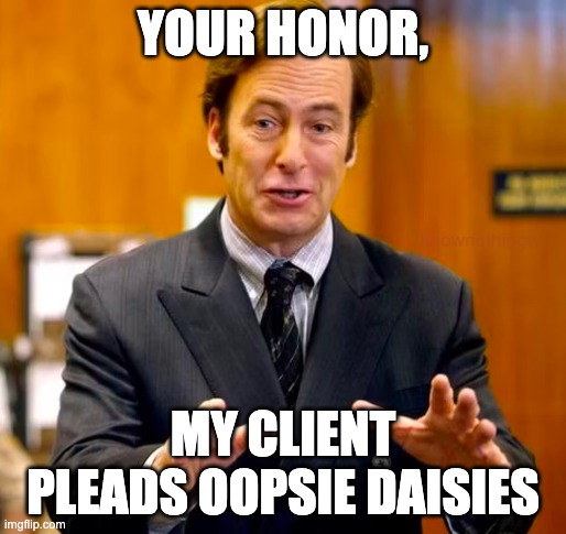 Saul Goodman Your Honor | YOUR HONOR, MY CLIENT PLEADS OOPSIE DAISIES | image tagged in saul goodman your honor | made w/ Imgflip meme maker