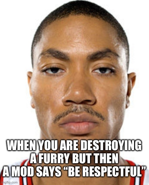 (Mod note: no. No I don't think I will) | WHEN YOU ARE DESTROYING A FURRY BUT THEN A MOD SAYS “BE RESPECTFUL” | image tagged in derrick rose straight face | made w/ Imgflip meme maker