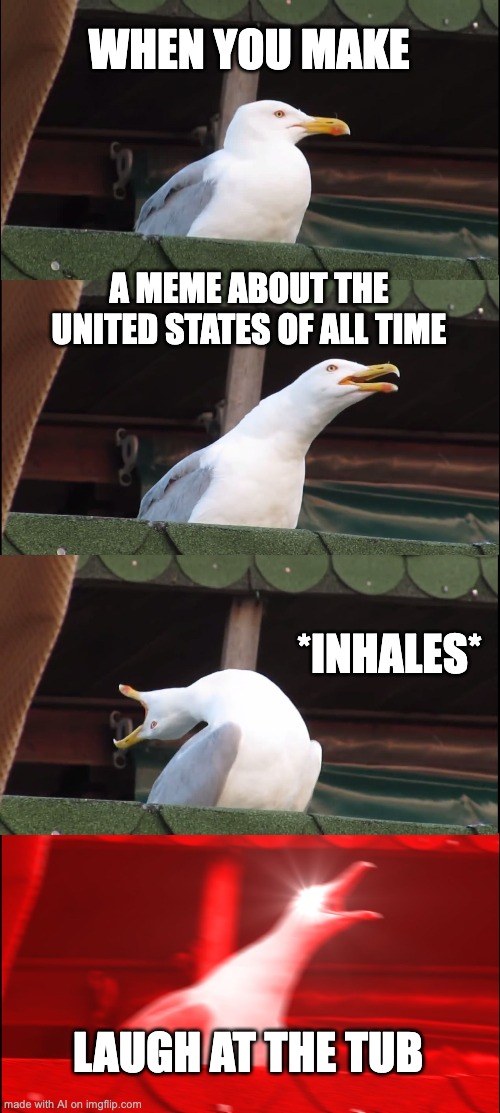 that damn tub has me in tears | WHEN YOU MAKE; A MEME ABOUT THE UNITED STATES OF ALL TIME; *INHALES*; LAUGH AT THE TUB | image tagged in memes,inhaling seagull | made w/ Imgflip meme maker