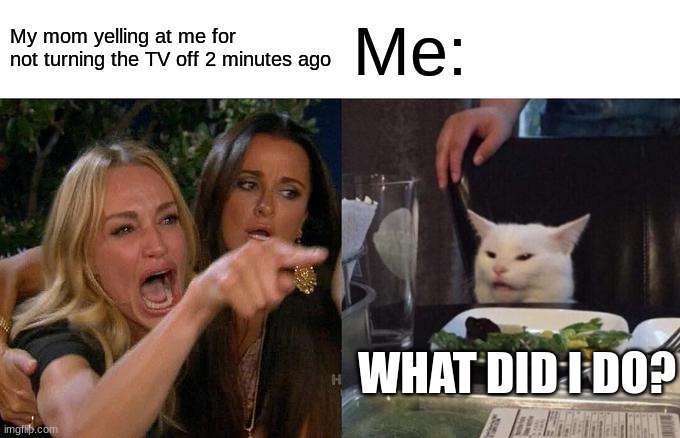 Bro, come on now. | My mom yelling at me for not turning the TV off 2 minutes ago; Me:; WHAT DID I DO? | image tagged in memes,woman yelling at cat | made w/ Imgflip meme maker