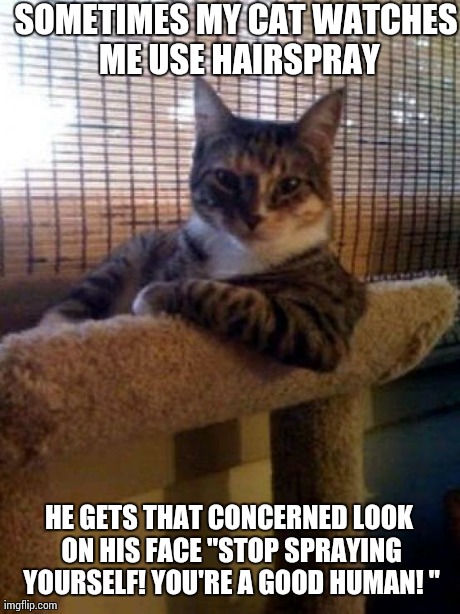 The Most Interesting Cat In The World | SOMETIMES MY CAT WATCHES ME USE HAIRSPRAY HE GETS THAT CONCERNED LOOK ON HIS FACE "STOP SPRAYING YOURSELF! YOU'RE A GOOD HUMAN! " | image tagged in memes,the most interesting cat in the world | made w/ Imgflip meme maker