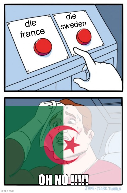 die frrance or ndie sweden | die 
sweden; die
france; OH NO !!!!! | image tagged in memes,two buttons | made w/ Imgflip meme maker