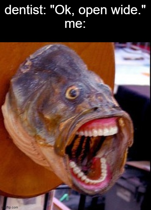 aaaaa | dentist: "Ok, open wide."
me: | image tagged in fish face,memes,funny,ahhhhhhhhhhhhh | made w/ Imgflip meme maker