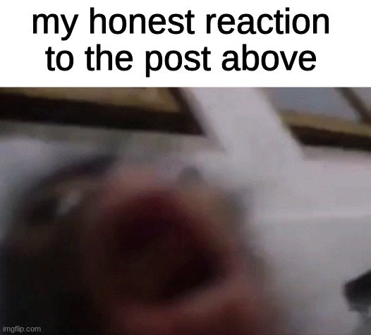 hopefully its bad/scary | my honest reaction to the post above | image tagged in funny,memes,lol,imgflip | made w/ Imgflip meme maker