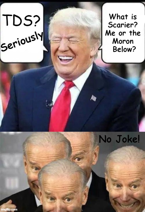 Alpha Male Trump vs Beta Male Biden (aka Gaffe Machine) | What is 
Scarier? 
Me or the 
Moron 
Below? Seriously; TDS? No Joke! | image tagged in politics,donald trump,joe biden,no contest,alpha,beta | made w/ Imgflip meme maker
