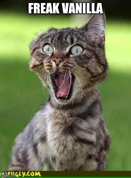 Cat freak out | FREAK VANILLA | image tagged in cat freak out | made w/ Imgflip meme maker