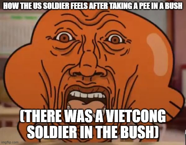 gumball darwin upset | HOW THE US SOLDIER FEELS AFTER TAKING A PEE IN A BUSH (THERE WAS A VIETCONG SOLDIER IN THE BUSH) | image tagged in gumball darwin upset | made w/ Imgflip meme maker