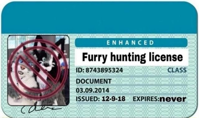 Furry hunting license with photo Blank Meme Template