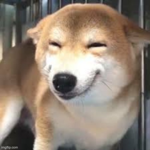 happy doge template | image tagged in happy doge template | made w/ Imgflip meme maker