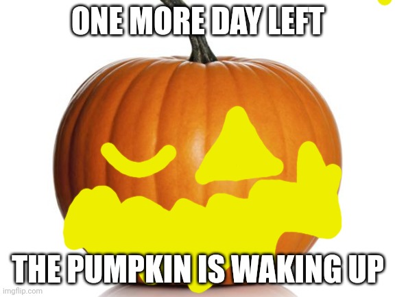 pumpkin | ONE MORE DAY LEFT THE PUMPKIN IS WAKING UP | image tagged in pumpkin | made w/ Imgflip meme maker