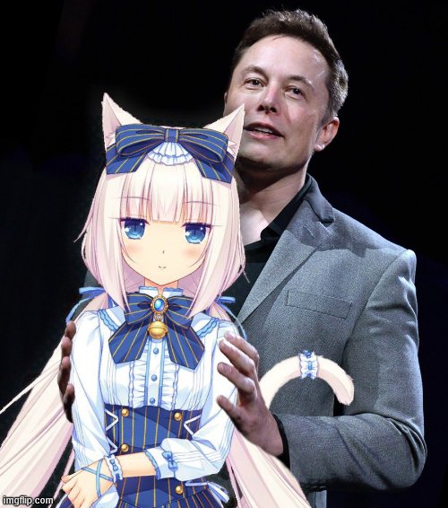 Ellon Musk with white haired catgirl | image tagged in ellon musk with white haired catgirl | made w/ Imgflip meme maker