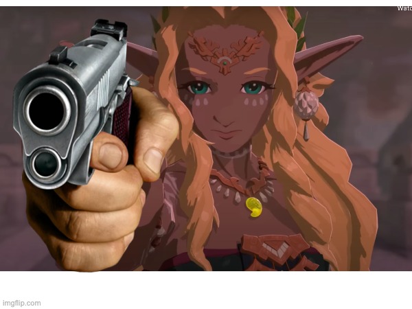 sonia would have never died | image tagged in the legend of zelda | made w/ Imgflip meme maker