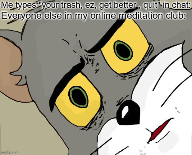 "Jiiiiiiiiiiiiiiiiiiiiiiiiiiiiiit trippen" | Me types "your trash, ez, get better , quit" in chat:; Everyone else in my online meditation club: | image tagged in memes,unsettled tom,funny,funny memes,fun,relatable | made w/ Imgflip meme maker