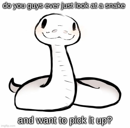 snek | do you guys ever just look at a snake; and want to pick it up? | image tagged in snek | made w/ Imgflip meme maker