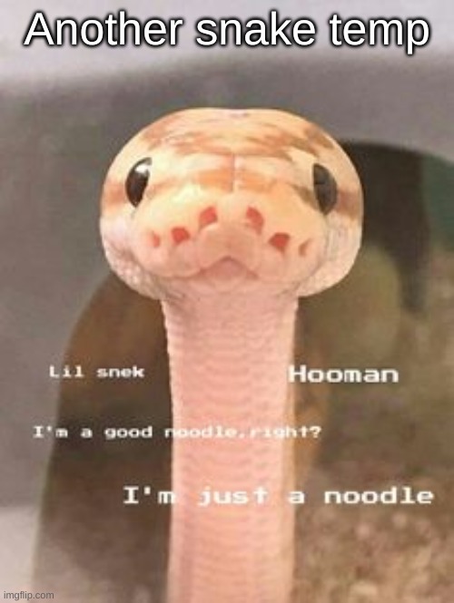 snek | Another snake temp | image tagged in snek | made w/ Imgflip meme maker