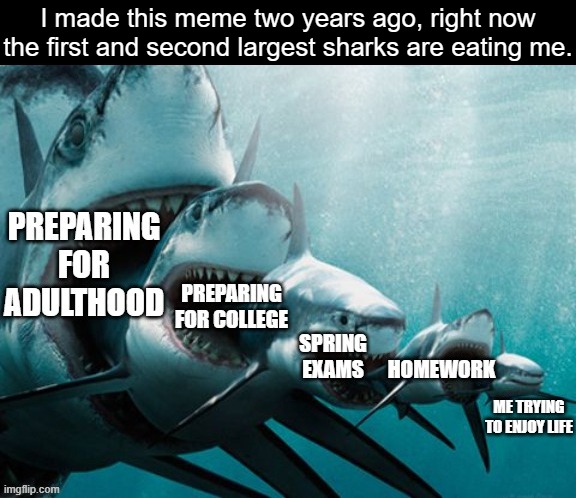 update on my condition | I made this meme two years ago, right now the first and second largest sharks are eating me. | image tagged in school,college,growing up,shark,memes,life | made w/ Imgflip meme maker