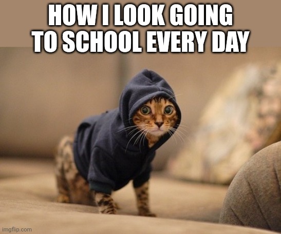 Hoody Cat | HOW I LOOK GOING TO SCHOOL EVERY DAY | image tagged in memes,hoody cat | made w/ Imgflip meme maker