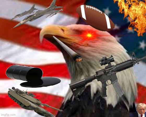 Murica Patriotic Eagle | image tagged in murica patriotic eagle | made w/ Imgflip meme maker