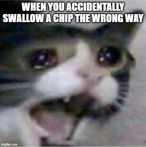 DORITOS >:( | WHEN YOU ACCIDENTALLY SWALLOW A CHIP THE WRONG WAY | image tagged in crying cat,chips | made w/ Imgflip meme maker