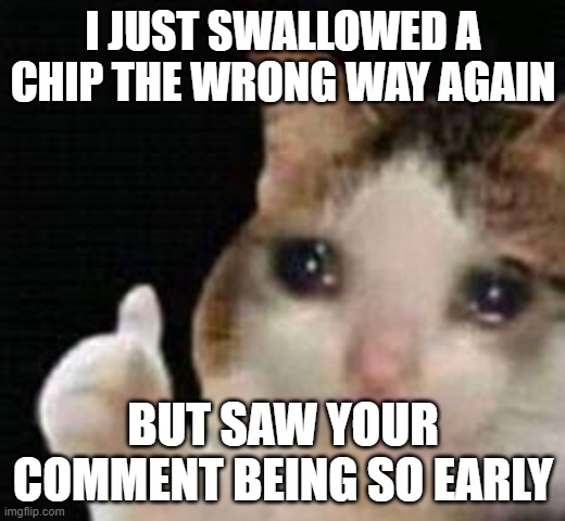 Approved crying cat | I JUST SWALLOWED A CHIP THE WRONG WAY AGAIN BUT SAW YOUR COMMENT BEING SO EARLY | image tagged in approved crying cat | made w/ Imgflip meme maker