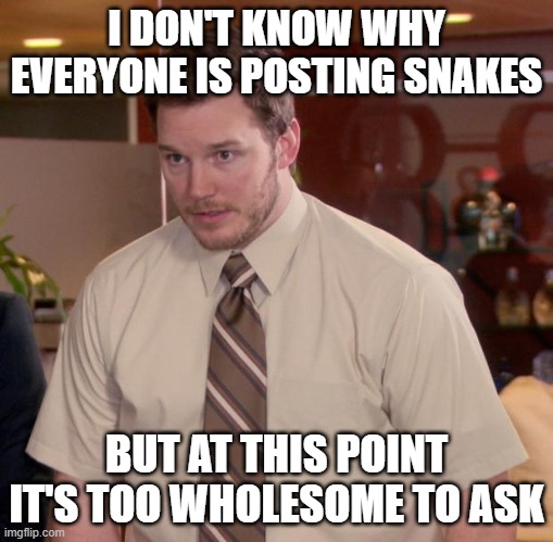 Afraid To Ask Andy | I DON'T KNOW WHY EVERYONE IS POSTING SNAKES; BUT AT THIS POINT IT'S TOO WHOLESOME TO ASK | image tagged in memes,afraid to ask andy | made w/ Imgflip meme maker