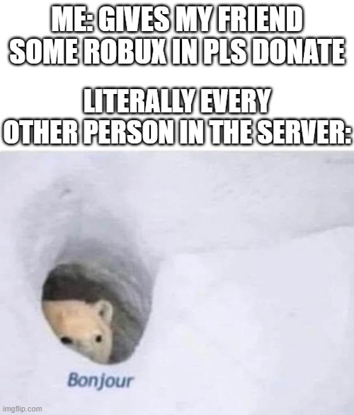 Bonjour | ME: GIVES MY FRIEND SOME ROBUX IN PLS DONATE; LITERALLY EVERY OTHER PERSON IN THE SERVER: | image tagged in bonjour | made w/ Imgflip meme maker