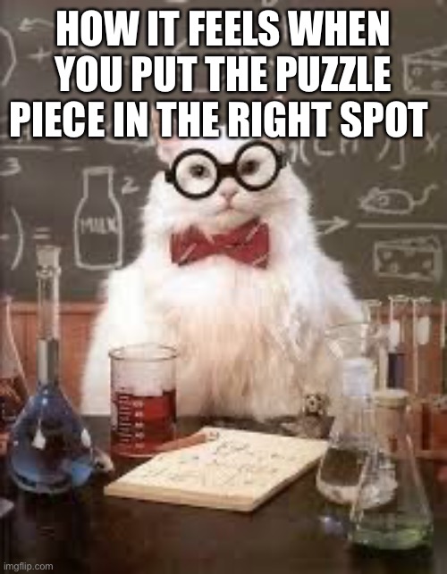 anyone else get this feeling? | HOW IT FEELS WHEN YOU PUT THE PUZZLE PIECE IN THE RIGHT SPOT | image tagged in smart cat | made w/ Imgflip meme maker
