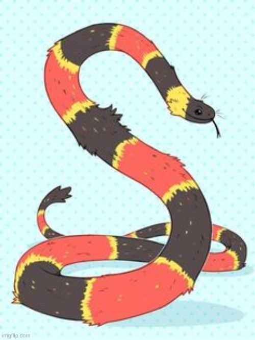 fuzzy snek | made w/ Imgflip meme maker