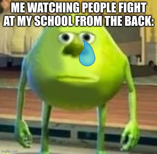Sad ? | ME WATCHING PEOPLE FIGHT AT MY SCHOOL FROM THE BACK: | image tagged in mike with sully's face,sad | made w/ Imgflip meme maker