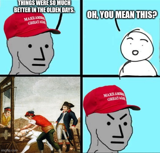 Olden days? Oh, slavery, oppression, lack of democracy? | THINGS WERE SO MUCH BETTER IN THE OLDEN DAYS. OH, YOU MEAN THIS? | image tagged in maga npc an an0nym0us template,guillotine,maga | made w/ Imgflip meme maker
