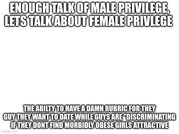ENOUGH TALK OF MALE PRIVILEGE, LETS TALK ABOUT FEMALE PRIVLEGE; THE ABILTY TO HAVE A DAMN RUBRIC FOR THEY GUY THEY WANT TO DATE WHILE GUYS ARE "DISCRIMINATING IF THEY DONT FIND MORBIDLY OBESE GIRLS ATTRACTIVE | image tagged in memes | made w/ Imgflip meme maker