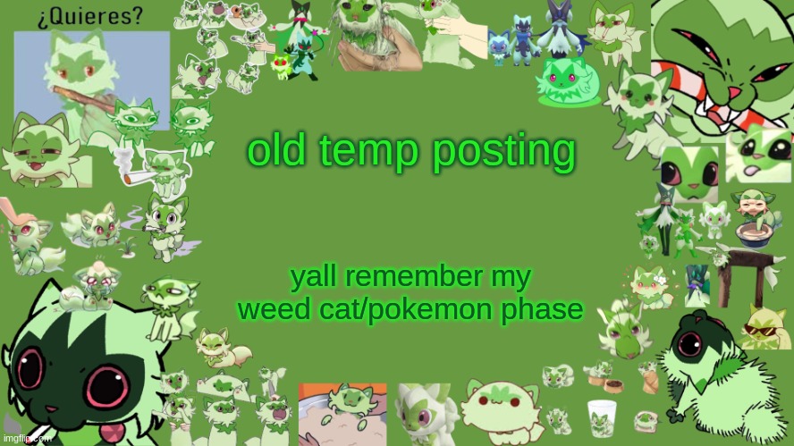 drm's weed cat temp | old temp posting; yall remember my weed cat/pokemon phase | image tagged in drm's weed cat temp | made w/ Imgflip meme maker