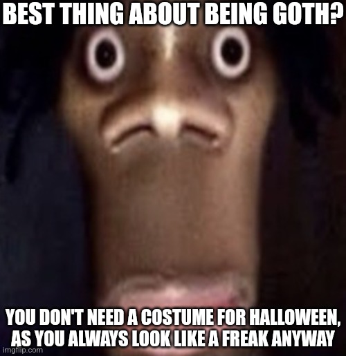 HAHAHAHAAAAA | BEST THING ABOUT BEING GOTH? YOU DON'T NEED A COSTUME FOR HALLOWEEN, AS YOU ALWAYS LOOK LIKE A FREAK ANYWAY | image tagged in quandale dingle | made w/ Imgflip meme maker
