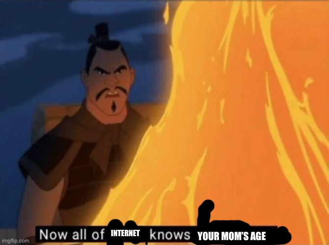 Now all of China knows you're here | YOUR MOM’S AGE; INTERNET | image tagged in now all of china knows you're here | made w/ Imgflip meme maker