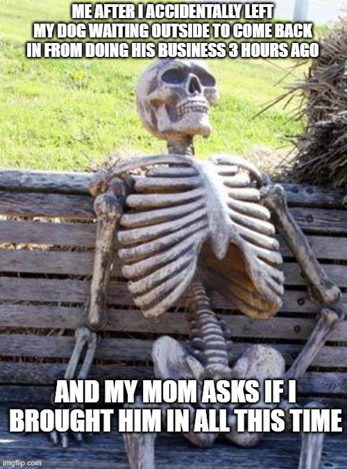 Can anyone relate? | ME AFTER I ACCIDENTALLY LEFT MY DOG WAITING OUTSIDE TO COME BACK IN FROM DOING HIS BUSINESS 3 HOURS AGO; AND MY MOM ASKS IF I BROUGHT HIM IN ALL THIS TIME | image tagged in memes,waiting skeleton,dog,dead | made w/ Imgflip meme maker