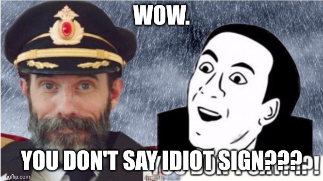 Captain obvious- you don't say? | WOW. YOU DON'T SAY IDIOT SIGN??? | image tagged in captain obvious- you don't say | made w/ Imgflip meme maker