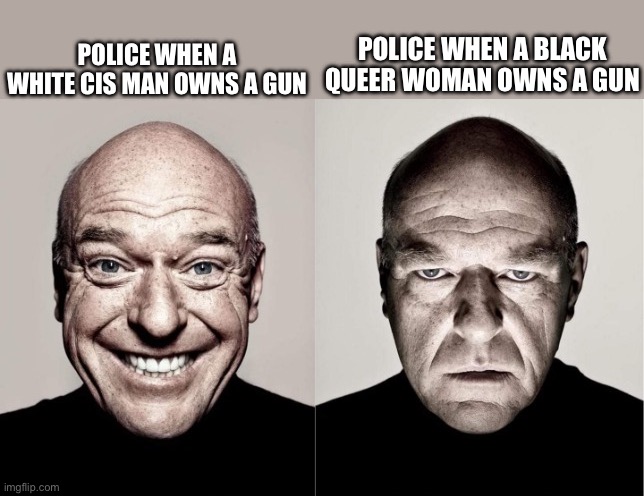 Police be like: | POLICE WHEN A BLACK QUEER WOMAN OWNS A GUN; POLICE WHEN A WHITE CIS MAN OWNS A GUN | image tagged in hank,police brutality,police chasing guy,politics,usa | made w/ Imgflip meme maker