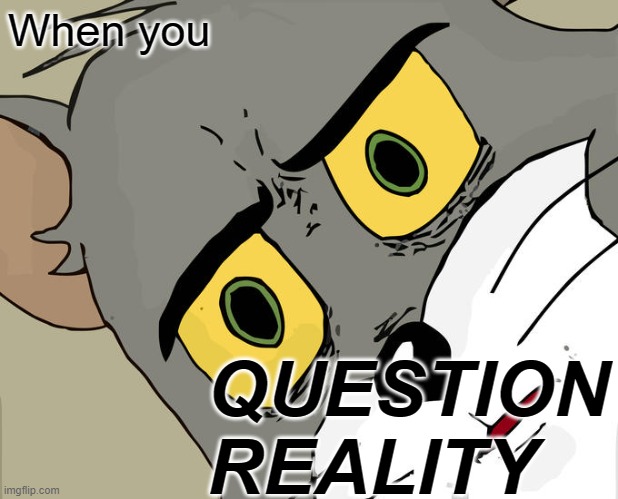 Unsettled Tom Meme | When you; QUESTION REALITY | image tagged in memes,unsettled tom | made w/ Imgflip meme maker
