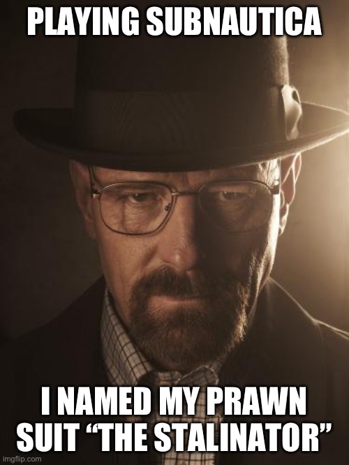 Walter White | PLAYING SUBNAUTICA; I NAMED MY PRAWN SUIT “THE STALINATOR” | image tagged in walter white | made w/ Imgflip meme maker